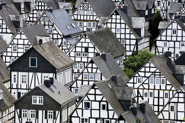 温州苍南急用钱贷款公司快速解忧首选