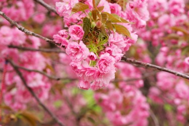 温州苍南线下个人借款平台一站式服务，轻松解决资金难题