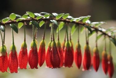 温州苍南零用贷短借：轻松解决临时资金需求