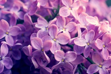 温州苍南企业急用钱贷款攻略：快速融资解燃眉之急